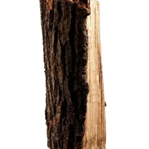 Brennholz Birke – 50cm – 2 RM auf Palette | kammergetrocknet